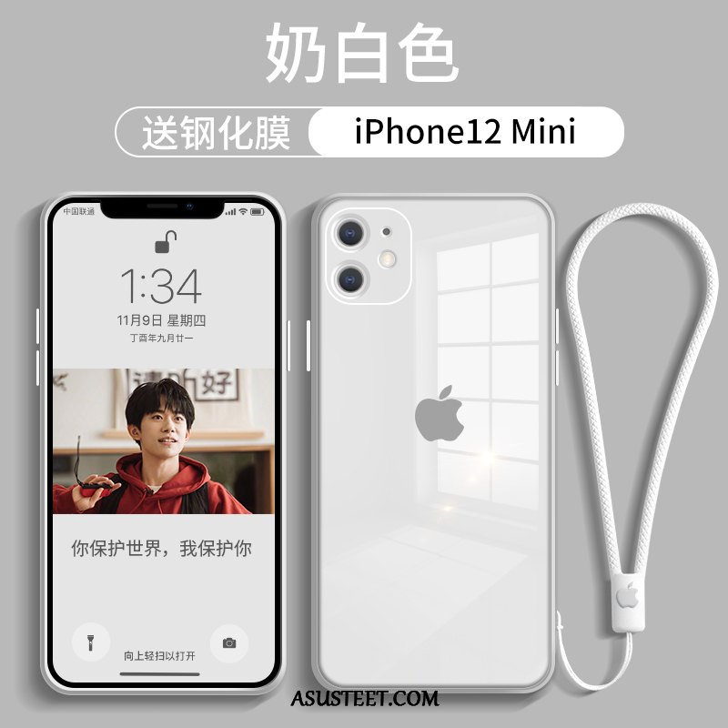 iPhone 12 Mini Kuoret Kuori Tuuli Net Red Puhelimen Lasi